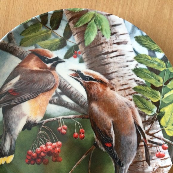 Cedar Waxwing Birds of your Garden collection by Kevin Daniel Knowles plate 1987 - Picture 2 of 4